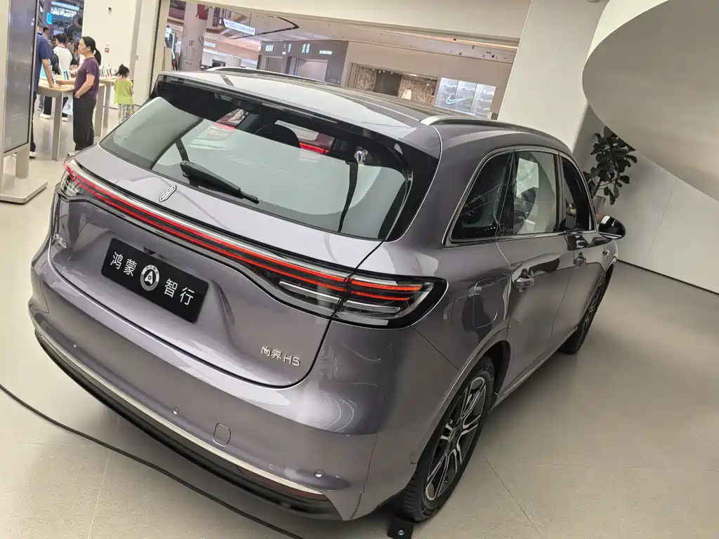 Shangjie Shangjie H5 — миниатюра 8