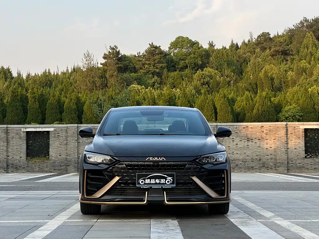 Dongfeng Aeolus Yixuan Max MAX 2021 1.5T