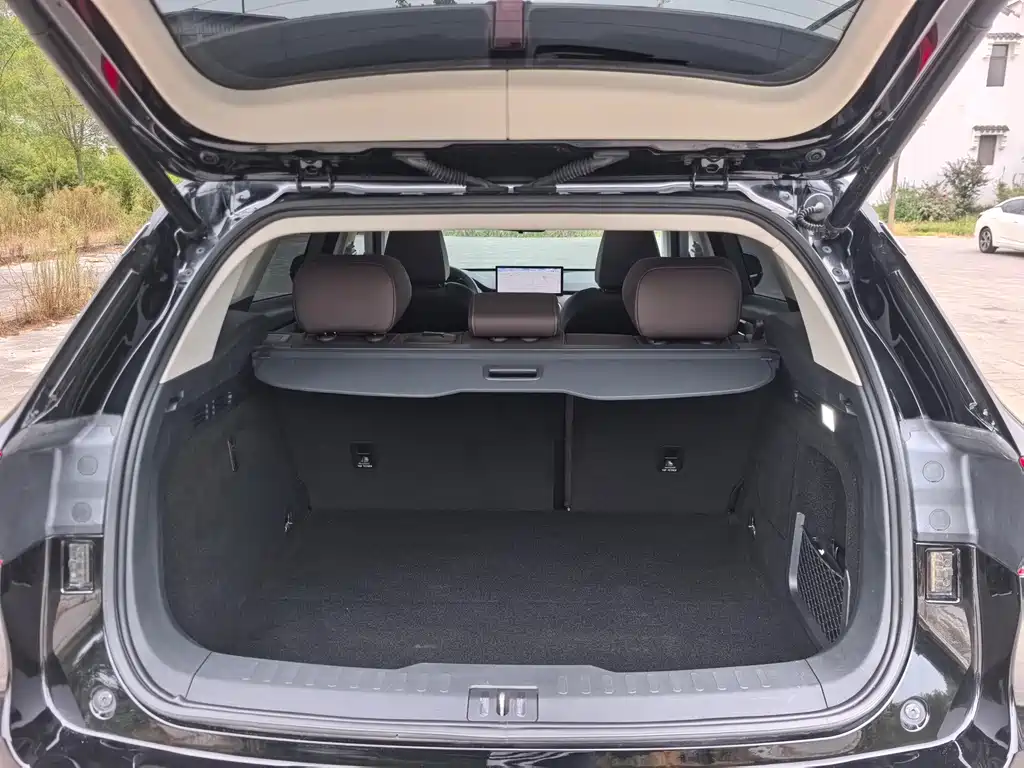 Wey Wey VV6 — миниатюра 24