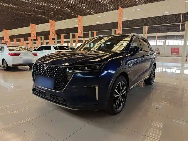 QICHEN XING 2022