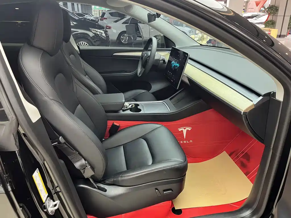 Tesla Model Y — миниатюра 14