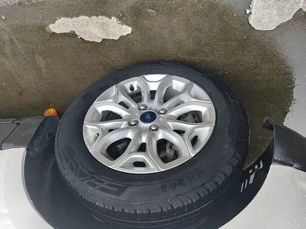 Ford Ecosport — миниатюра 23