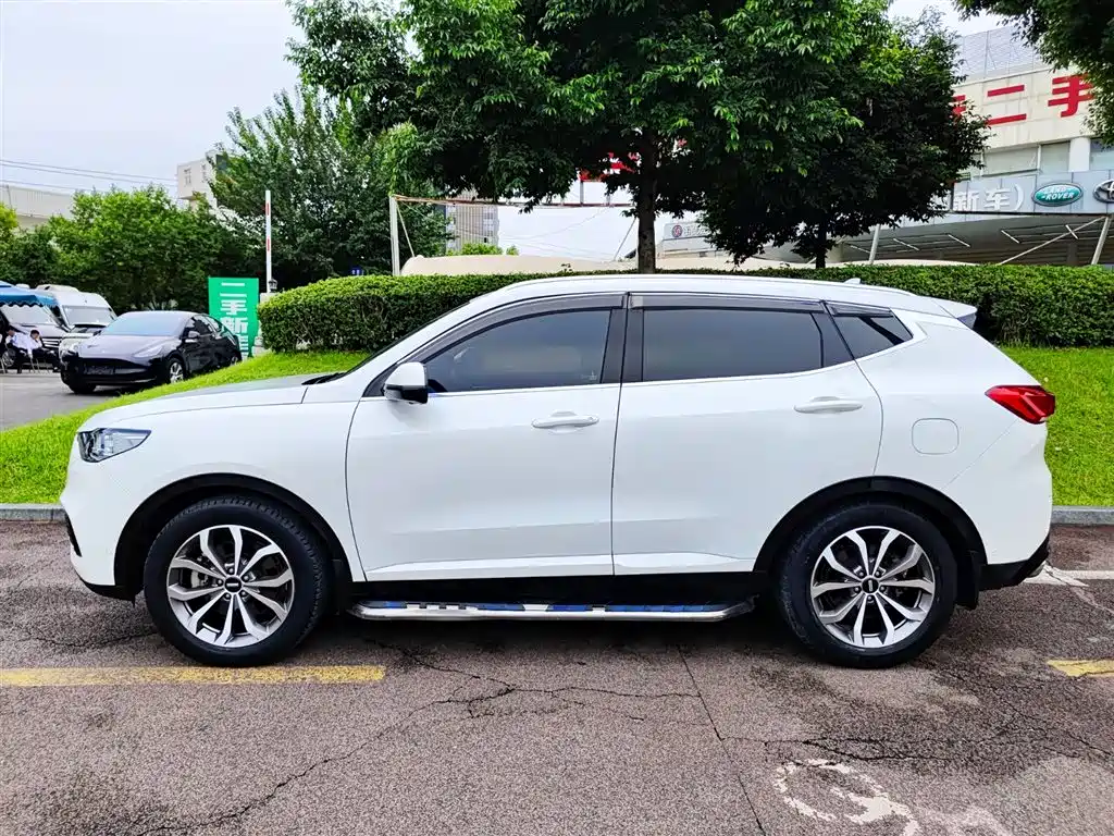 WEI PAI WEI BRAND VV6