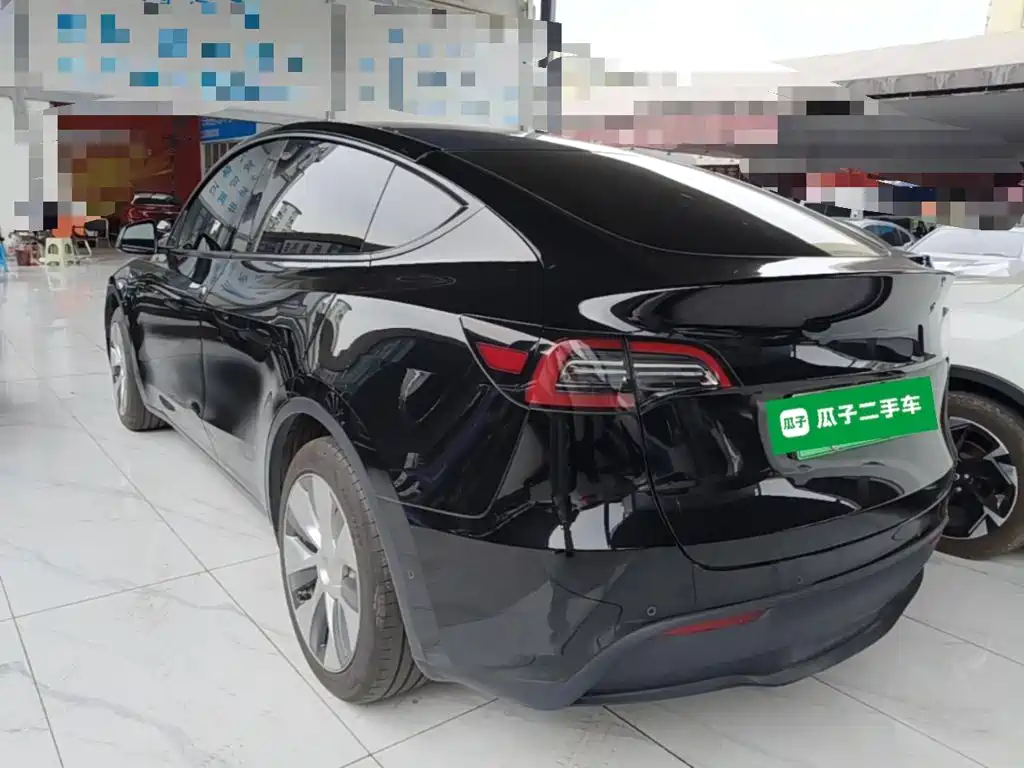 Tesla Model Y — миниатюра 5