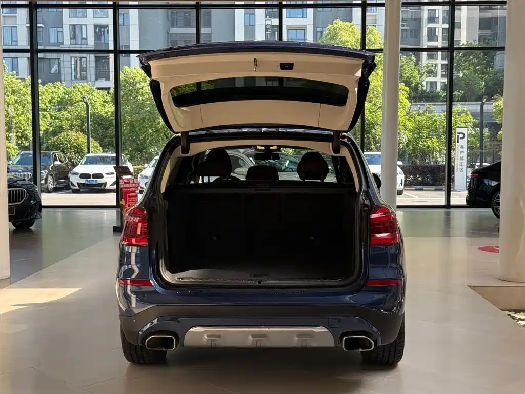BMW X3 2019 xDrive25i Luxury