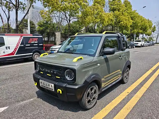 2024 Geely LC (Panda)