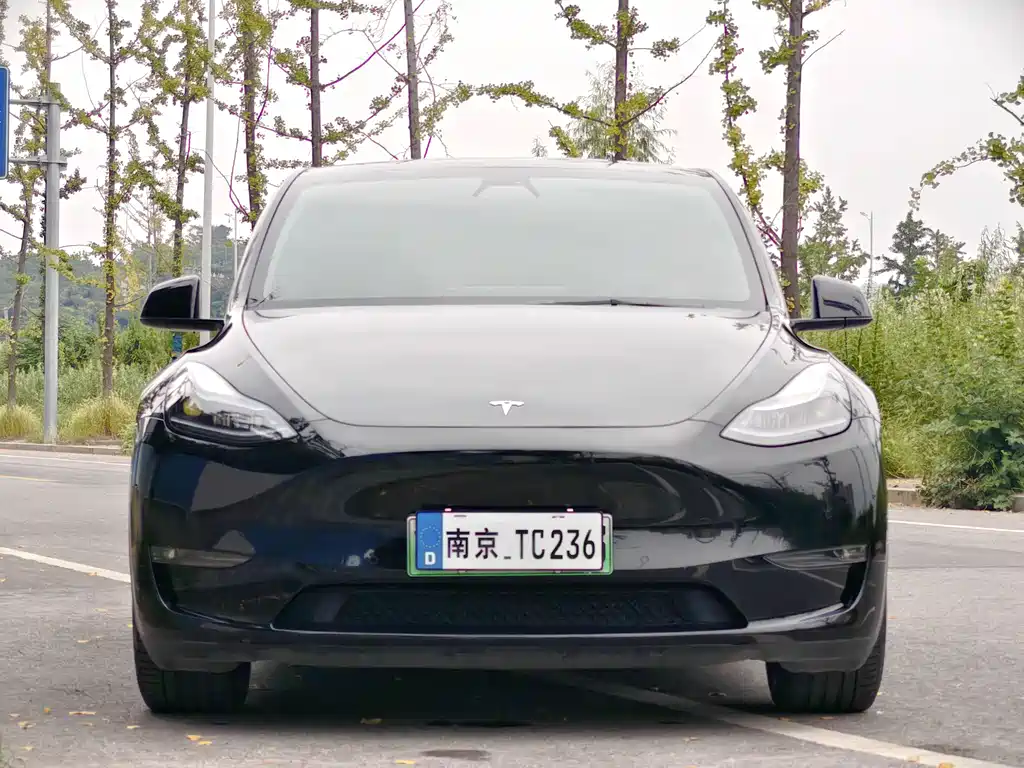 Tesla Model Y — миниатюра 2