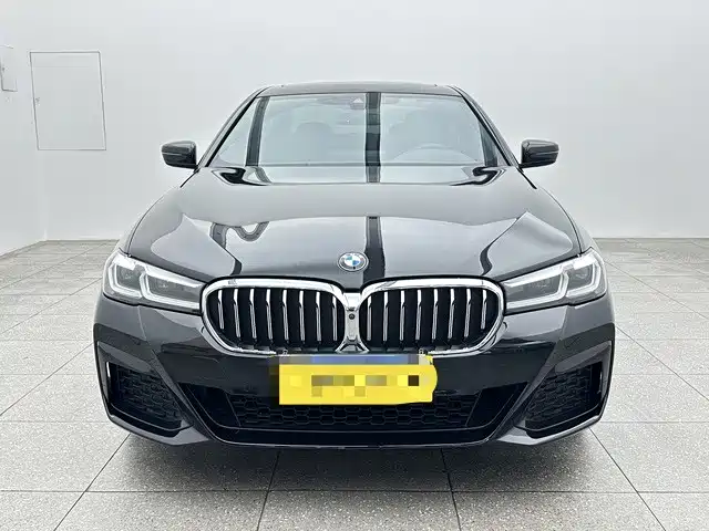 BMW 5 Series — миниатюра 2
