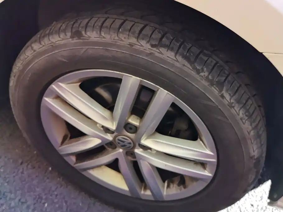 Volkswagen Gran Lavida — миниатюра 6