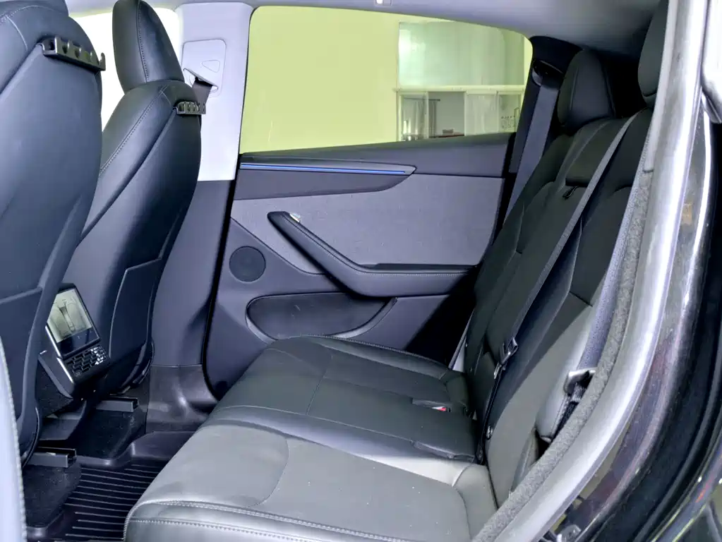 Tesla Model Y — миниатюра 6