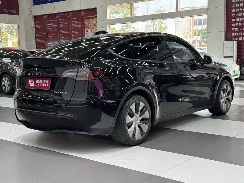 Tesla Model Y — миниатюра 6