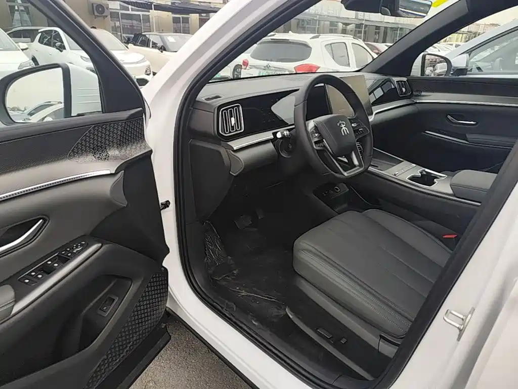 BYD Pro New Energy — миниатюра 16