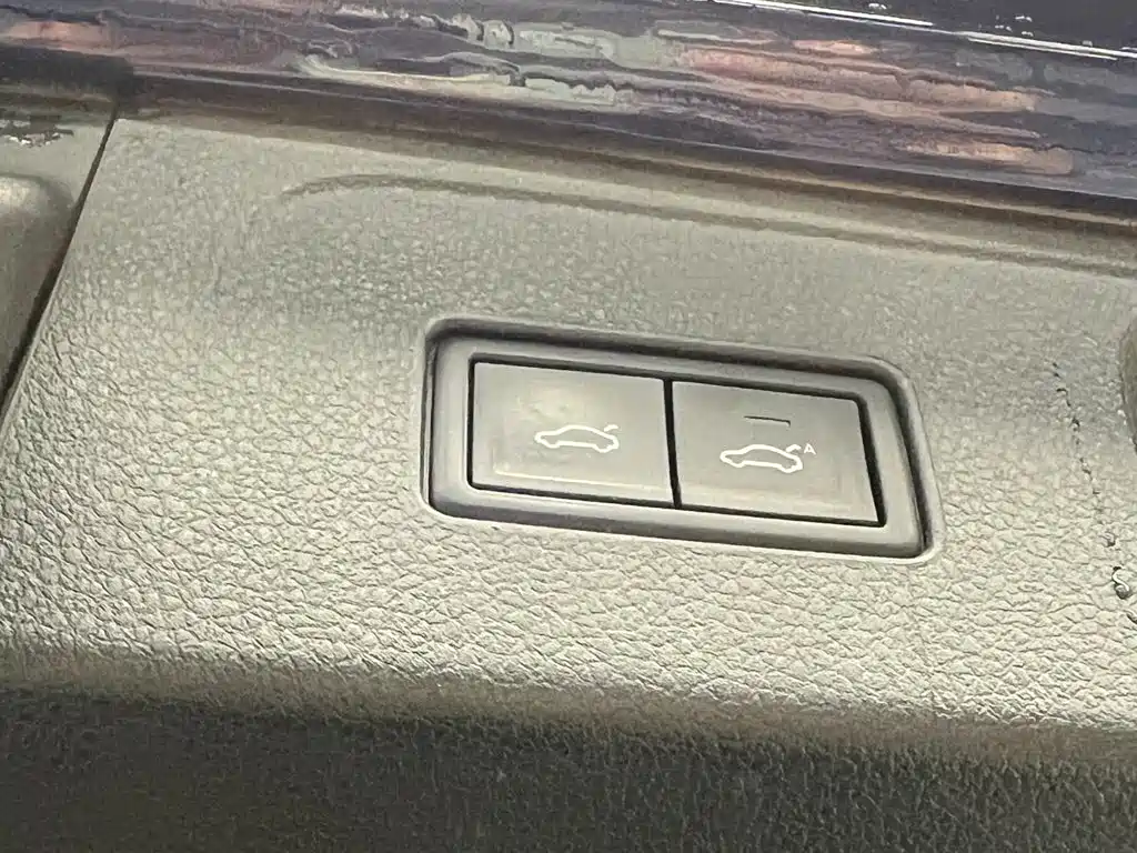 Volkswagen Viloran New Energy — миниатюра 23