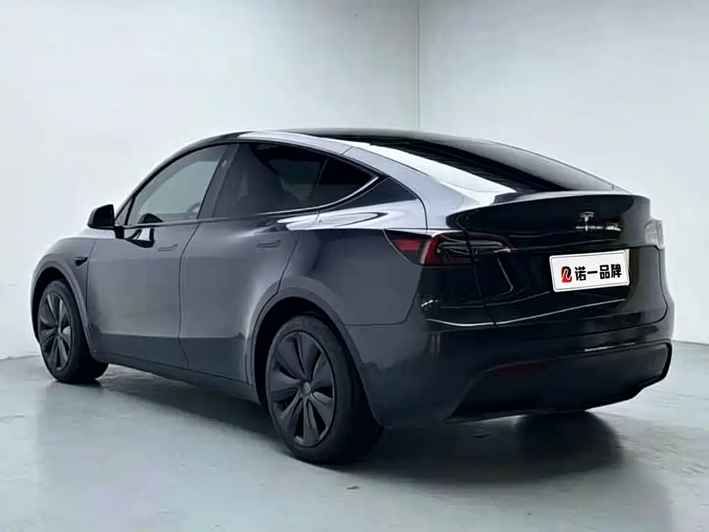 Tesla Model Y — миниатюра 6