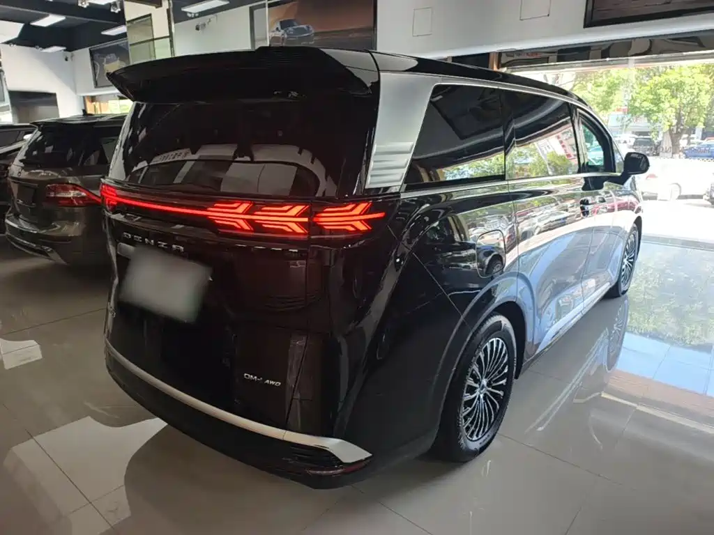 Denza Denza D9 — миниатюра 7
