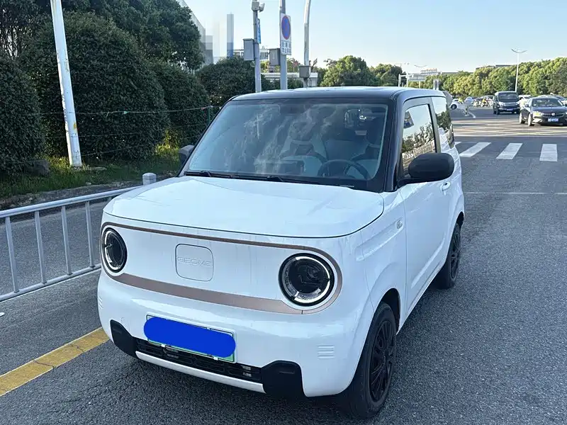 Galaxy Panda 2023