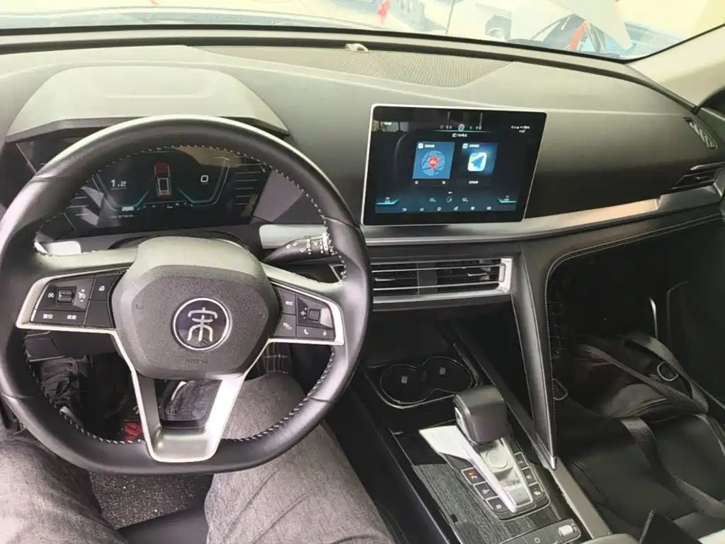 BYD Pro — миниатюра 10