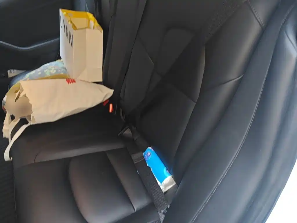 Tesla Model 3 — миниатюра 18