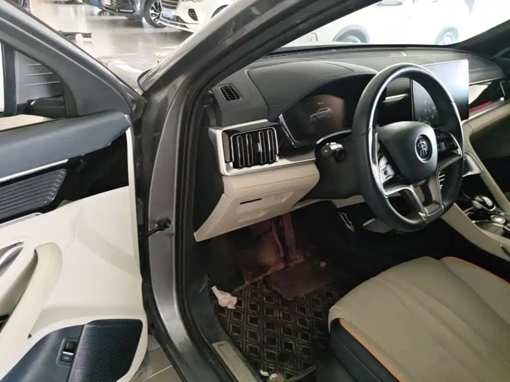 BYD PLUS New Energy — миниатюра 16