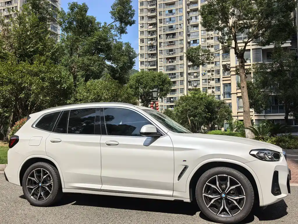 BMW X3 — миниатюра 3