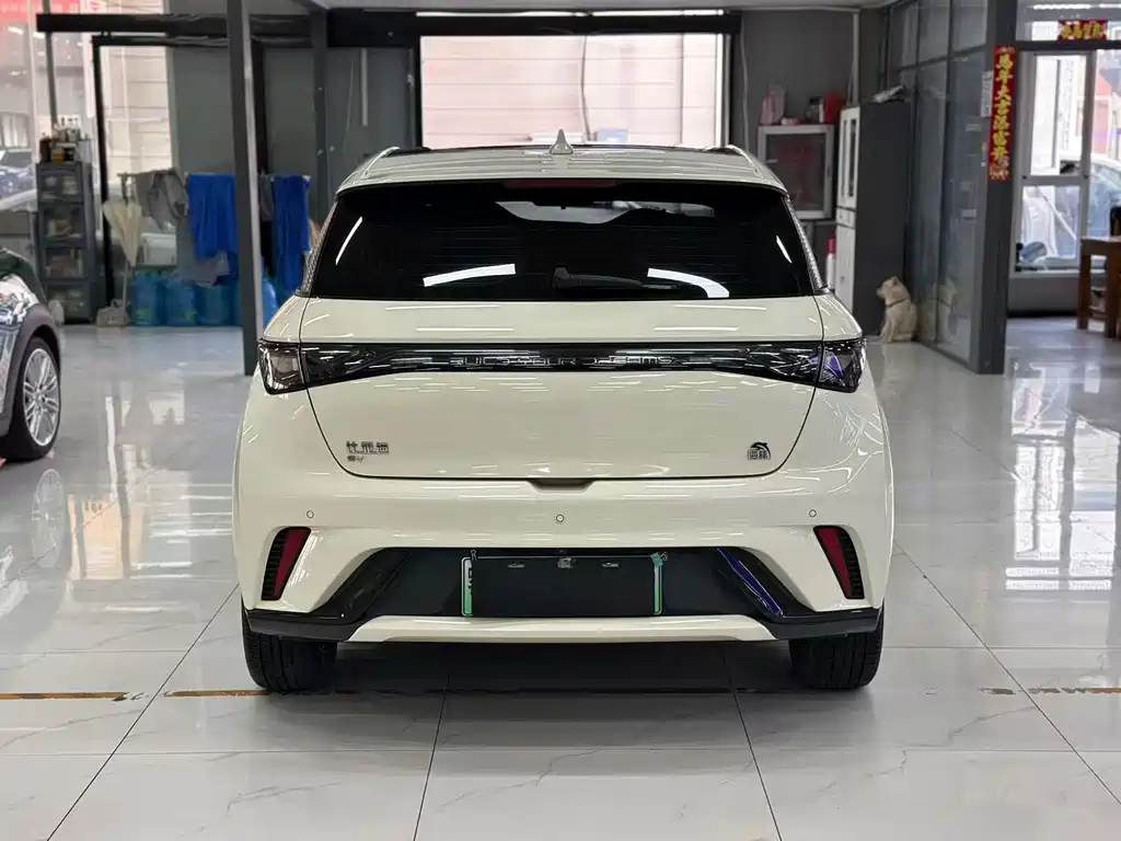 BYD Dolphin — миниатюра 5