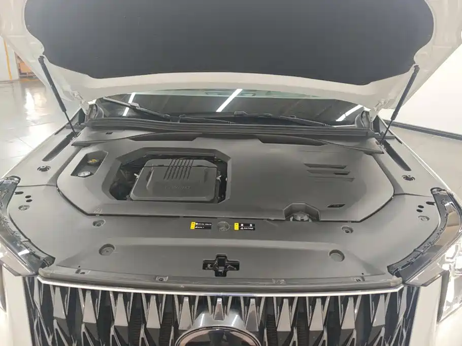 GAC Motor Trumpchi GS8 — миниатюра 10