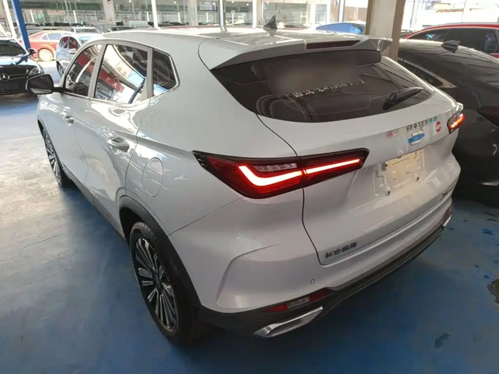 Oshan Oushang X5 — миниатюра 5