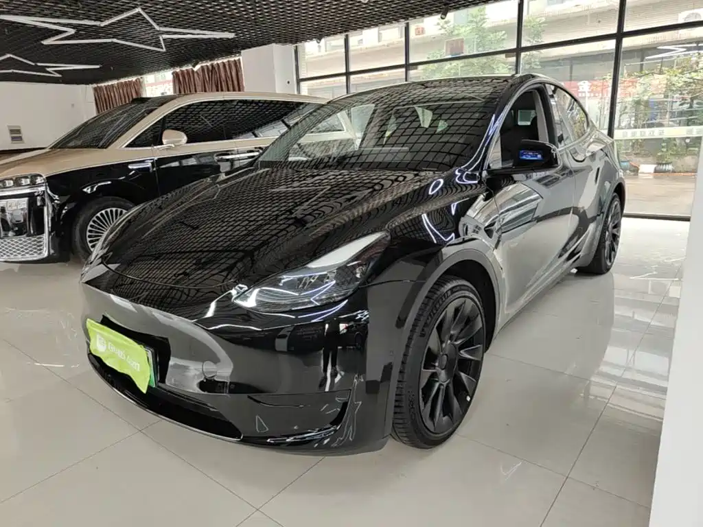 Tesla Model Y — миниатюра 2