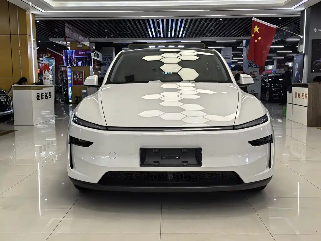 Tesla Model Y — миниатюра 2