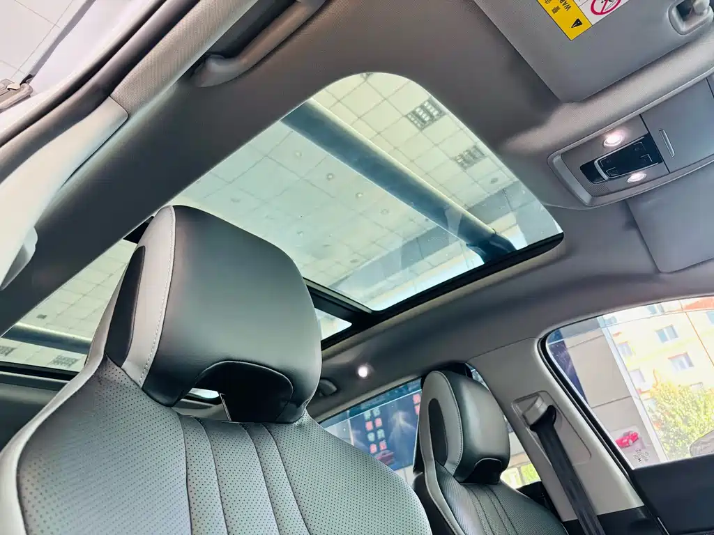 BYD Sealion 05 DM-i — миниатюра 25