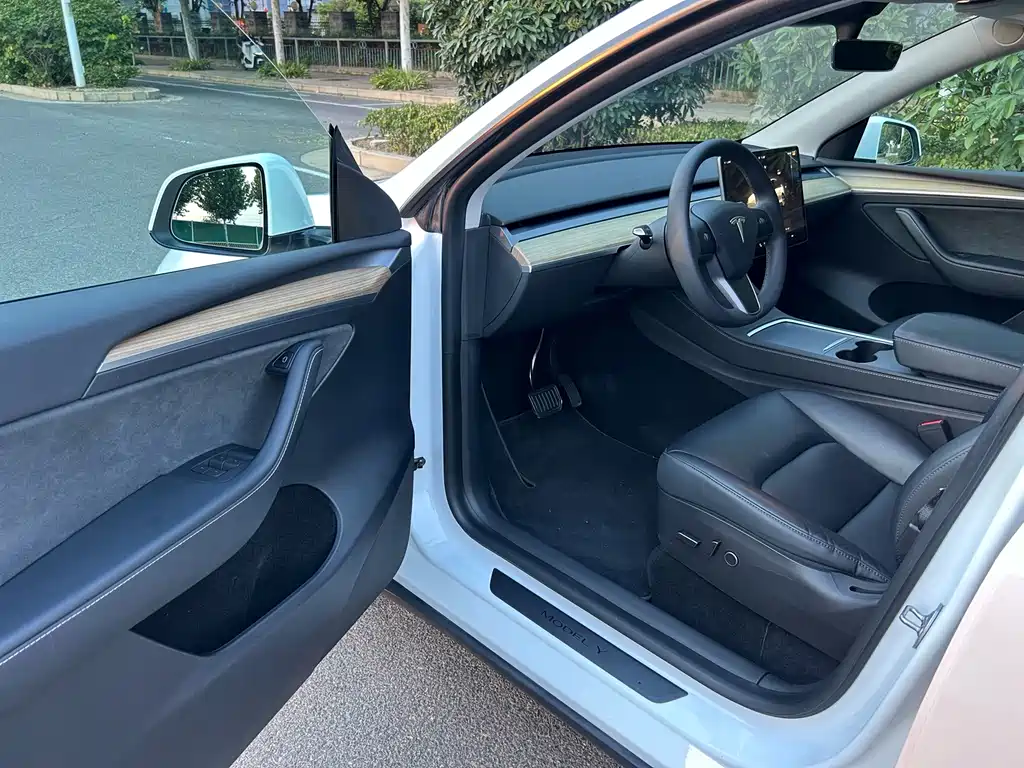 Tesla Model Y — миниатюра 4