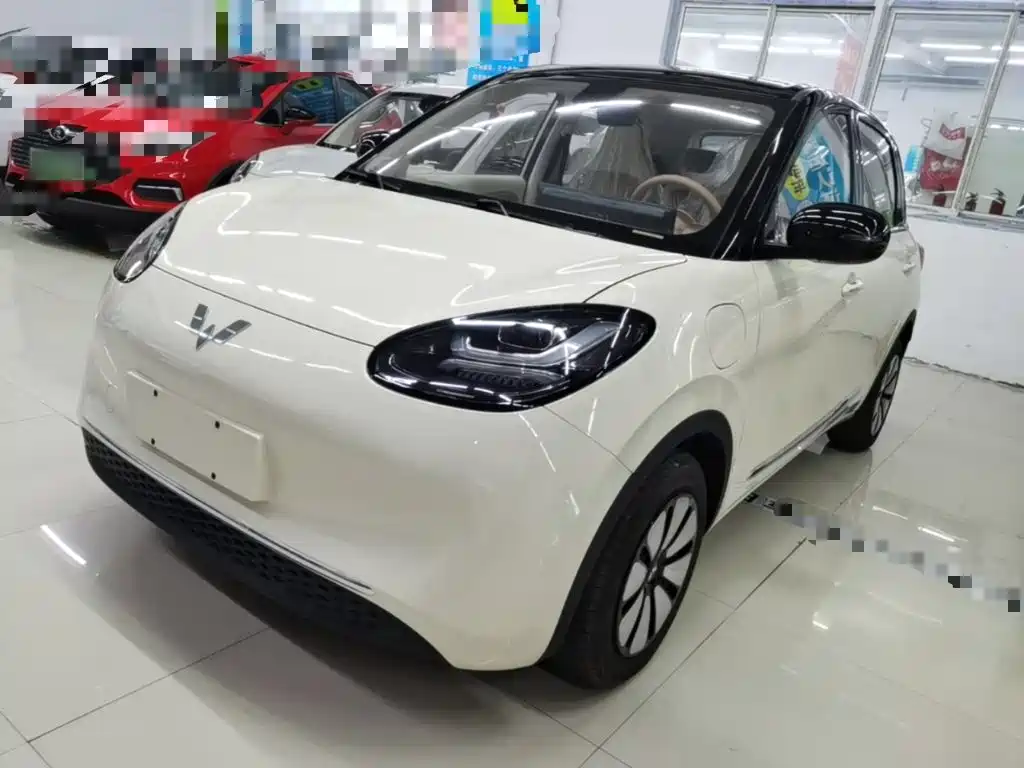 Wuling Binguo 2025 333km Enjoy