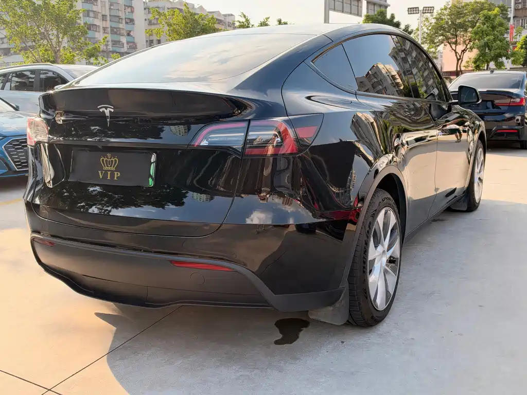 Tesla Model Y — миниатюра 6