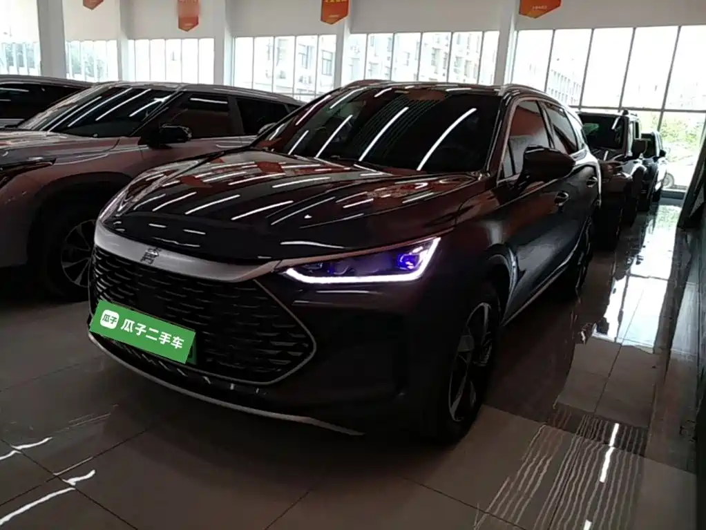 BYD Tang New Energy 2024 DM-i Glory Edition 112KM Honorable Type