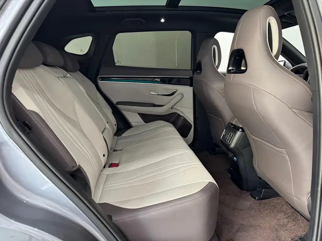 BYD PLUS New Energy — миниатюра 12