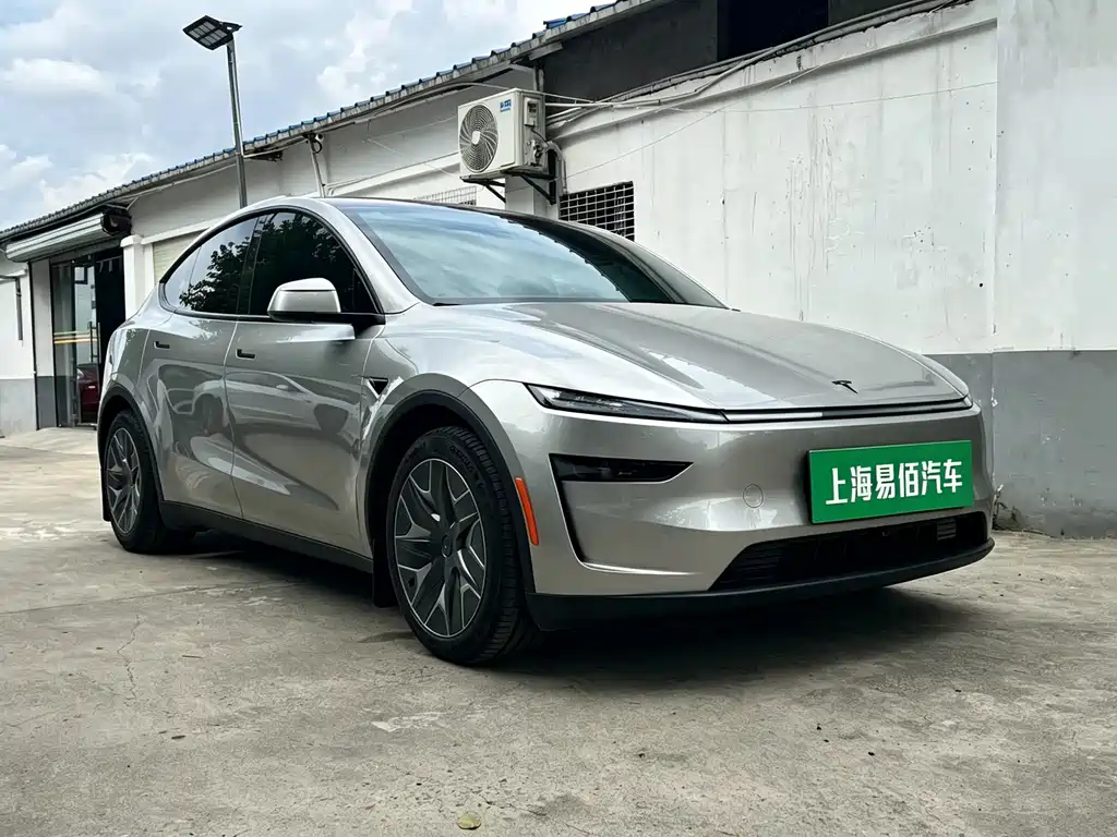 Tesla Model Y L — миниатюра 3