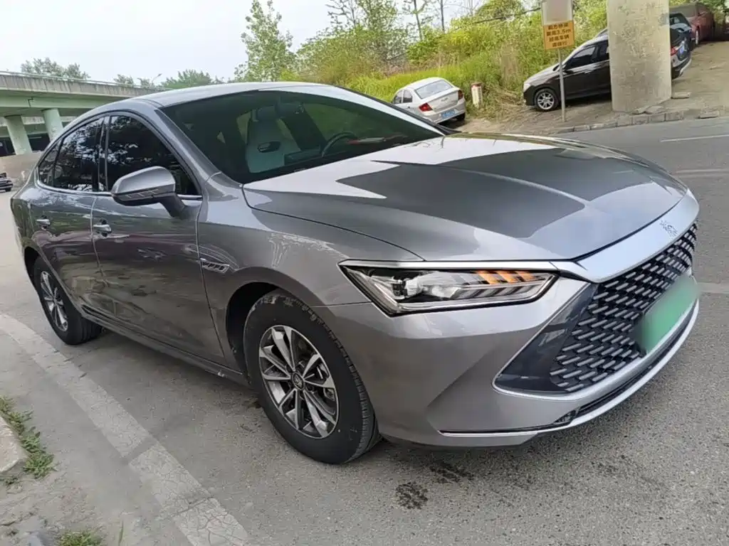 BYD Qin Plus PLUS 2024 DM-i 55KM Lead