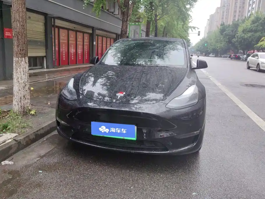 Tesla Model Y — миниатюра 2
