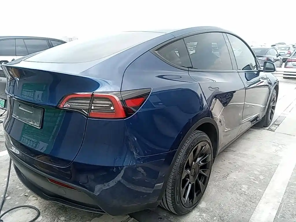 Tesla Model Y — миниатюра 7