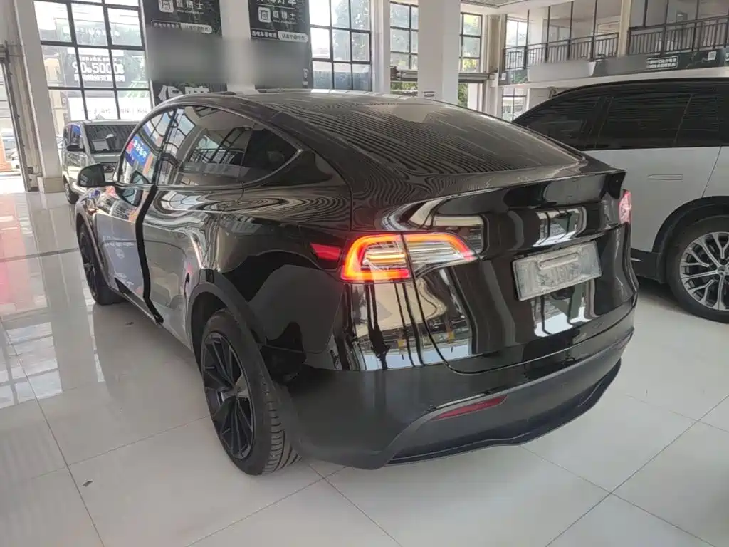 Tesla Model Y — миниатюра 5