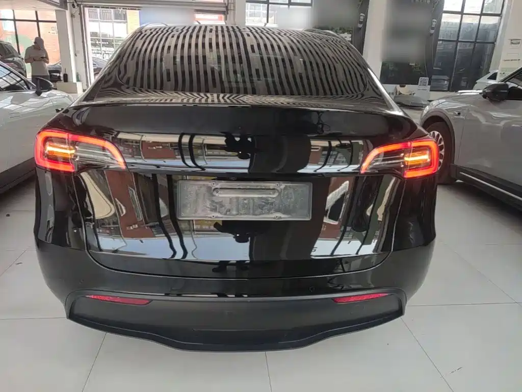 Tesla Model Y — миниатюра 6