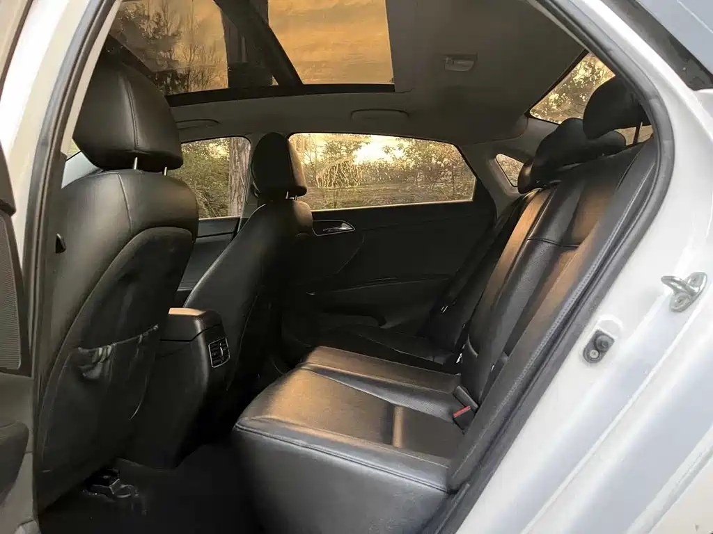 HYUNDAI NAME PICTURE