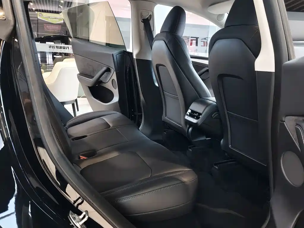 Tesla Model Y — миниатюра 8