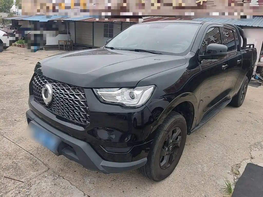 Great Wall Pao — миниатюра 2
