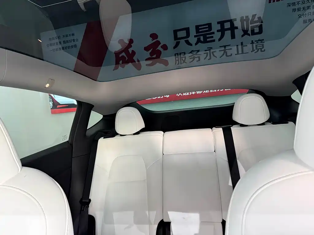 Tesla Model Y — миниатюра 9