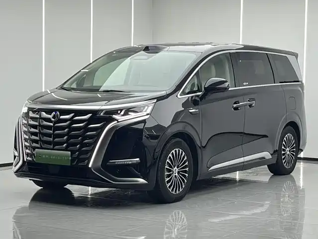 2024 Denza D9