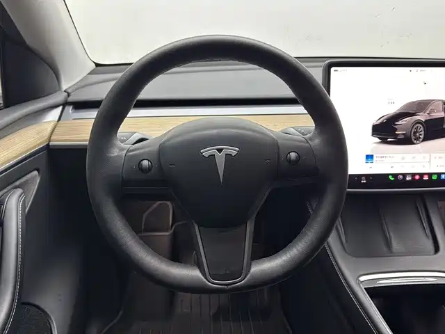 Tesla Model Y — миниатюра 10