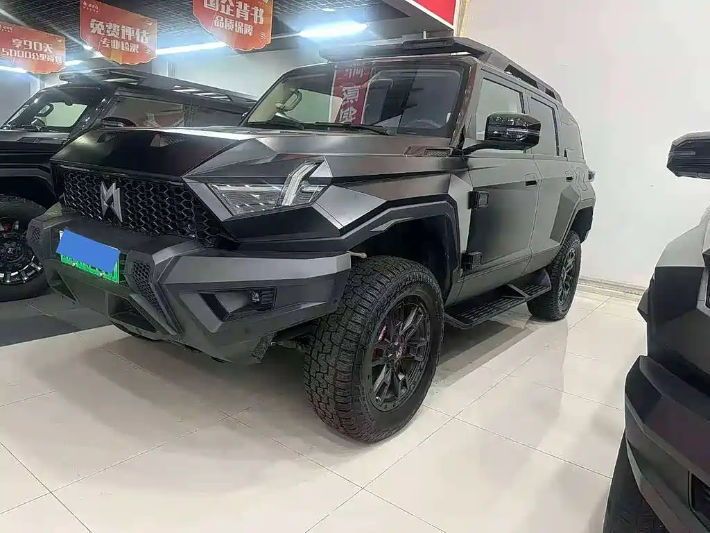Mengshi Mengshi 917 2023