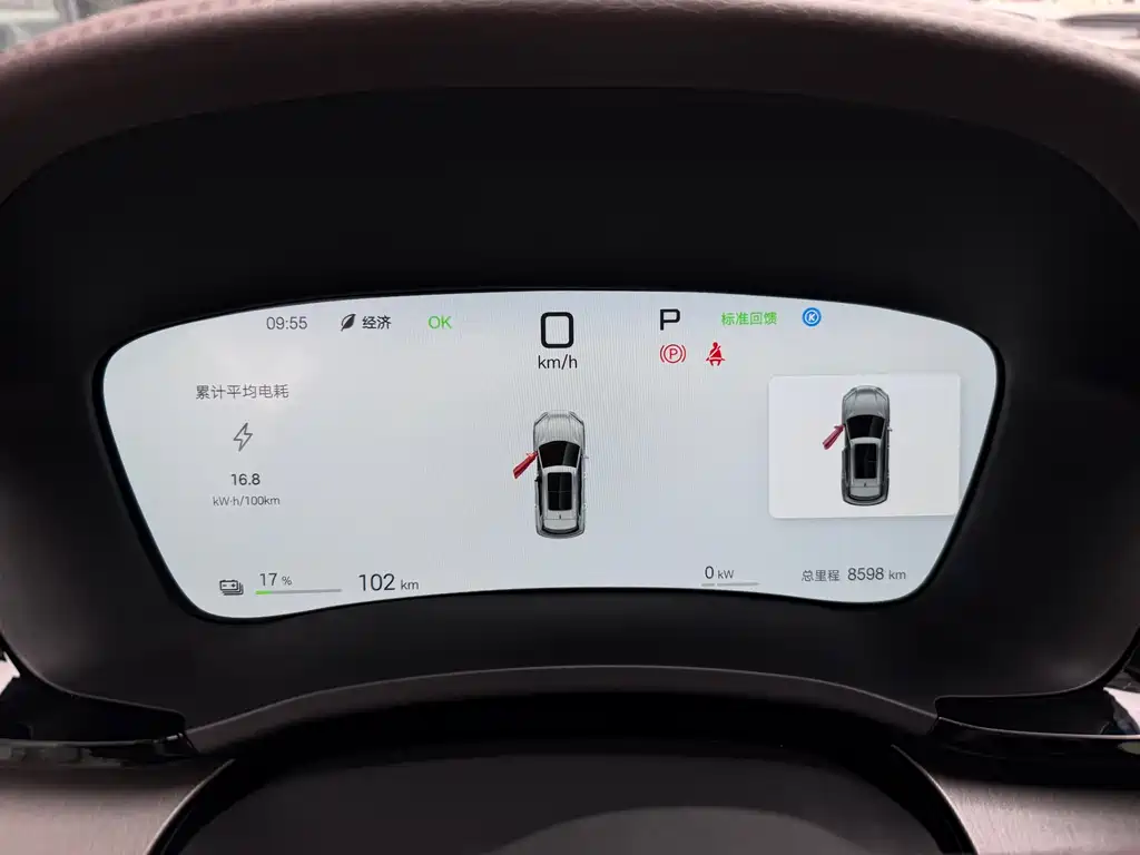 BYD SONGJIANG NEW ENERGY