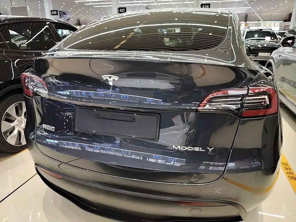 Tesla Model Y — миниатюра 6
